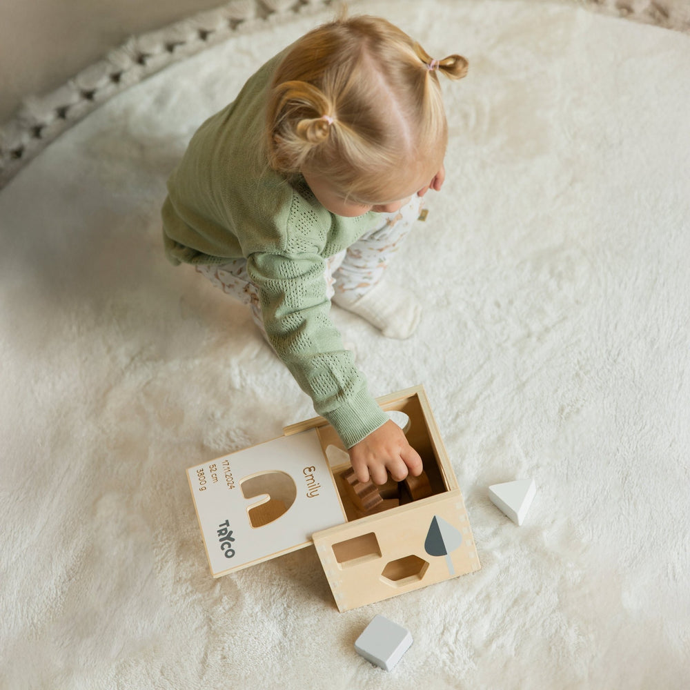 Sortierbox