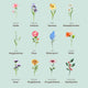 Personalisiertes Blumenposter für Mama - Muckelmeister